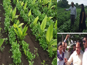 ସମନ୍ବିତ କୃଷିର ସଫଳ କୃଷକ: ଦେବରାଜ ପଟିଦାର