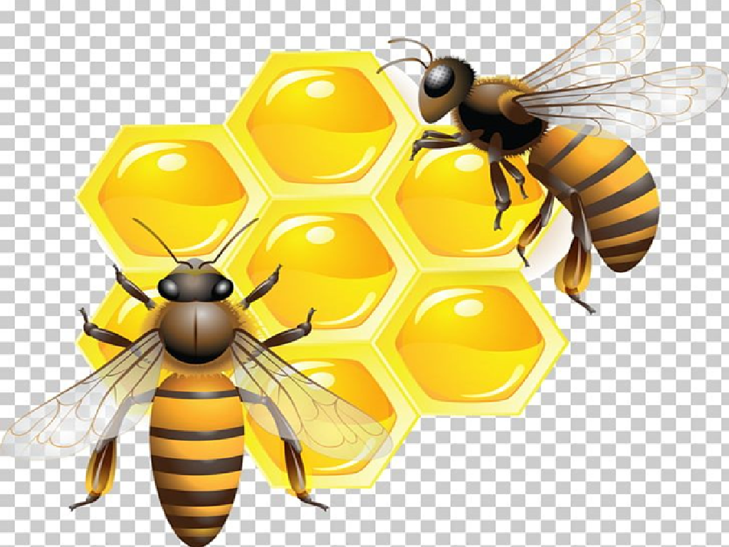 Bee Keeping