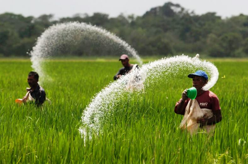 Fertilizer for farmer