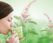 ତୁଳସୀ ପାଣିର ଉପକାରିତା, ଆସନ୍ତୁ ଜାଣିବା !!