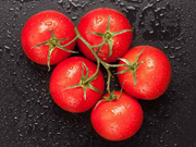 ଟମାଟୋ ଅମଳ ବଢ଼ିଲା, ଦର ହ୍ରାସ ପାଇଲା !!  