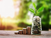 କମ୍ ନିବେଶରେ ଆପଣ କରନ୍ତୁ କୃଷି ବ୍ୟବସାୟ !!