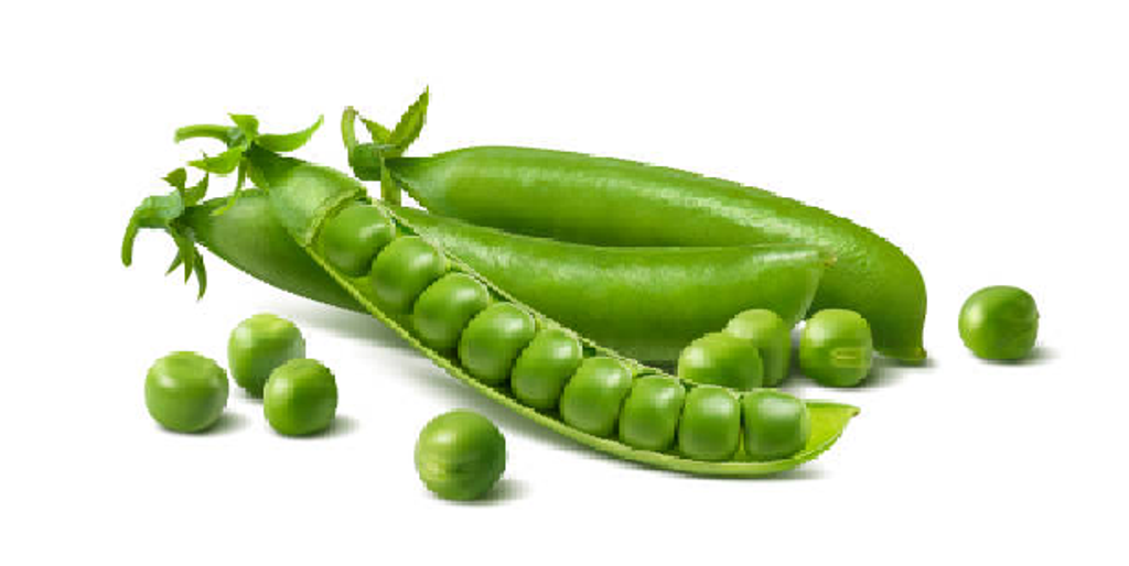 Pea