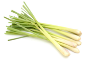 ଲେମନ ଘାସର ବ୍ୟବସାୟ, ଆପଣ ଜାଣନ୍ତି କି ? ? 