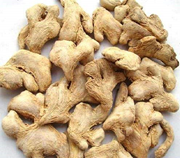 ଆସନ୍ତୁ ଜାଣିବା ଶୁଣ୍ଠୀର ଗୁଣ !!