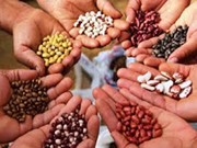 ଖତ ଓ ବିହନ ଲାଇସେନ୍ସ ପାଇଁ ଆବେଦନ ପ୍ରକ୍ରିୟା, ଯୋଗ୍ୟତା ଏବଂ ଆବଶ୍ୟକ ଡକ୍ୟୁମେଣ୍ଟ