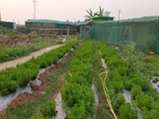 ବିଭିନ୍ନ ପ୍ରକାର କୃଷି ପାଇଁ କୃଷକ ଓ ମହିଳାମାନଙ୍କୁ ମିଳିବ ସହାୟତା