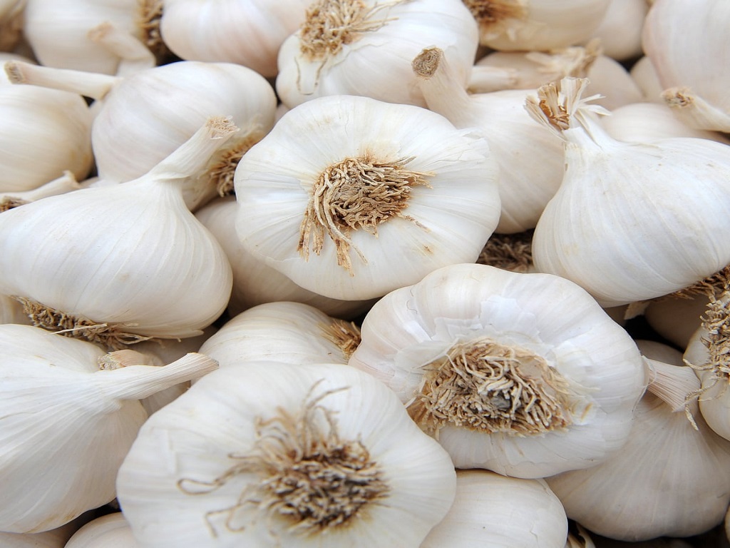 health benefit of garlic