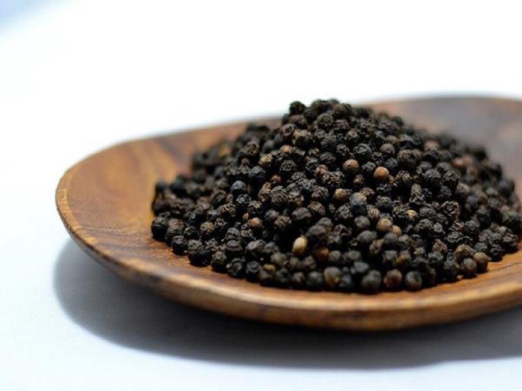 black pepper cultivation