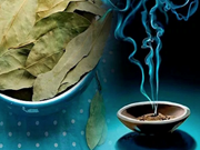 ଶୋଇବା ପୂର୍ବରୁ ପ୍ରତିଦିନ ଘରେ ଜଳାନ୍ତୁ ଗୋଟିଏ ତେଜ ପତ୍ର, ଦେଖିବେ ଏହାର ଫାଇଦା