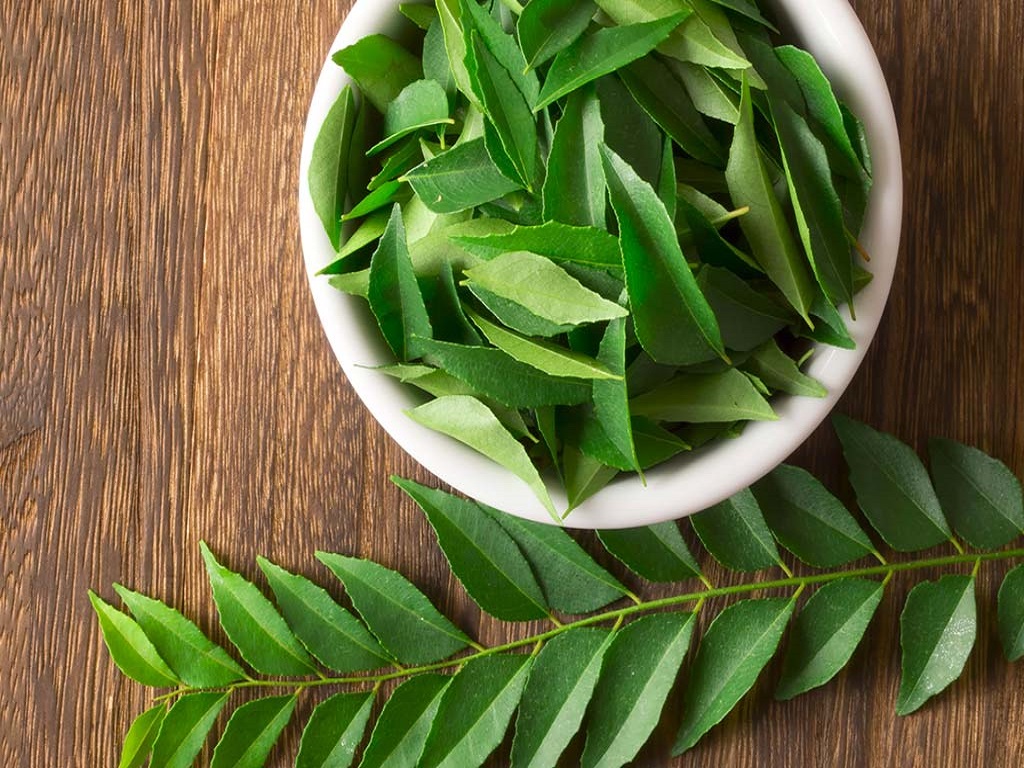 health benefits of curry leaves you cannot miss