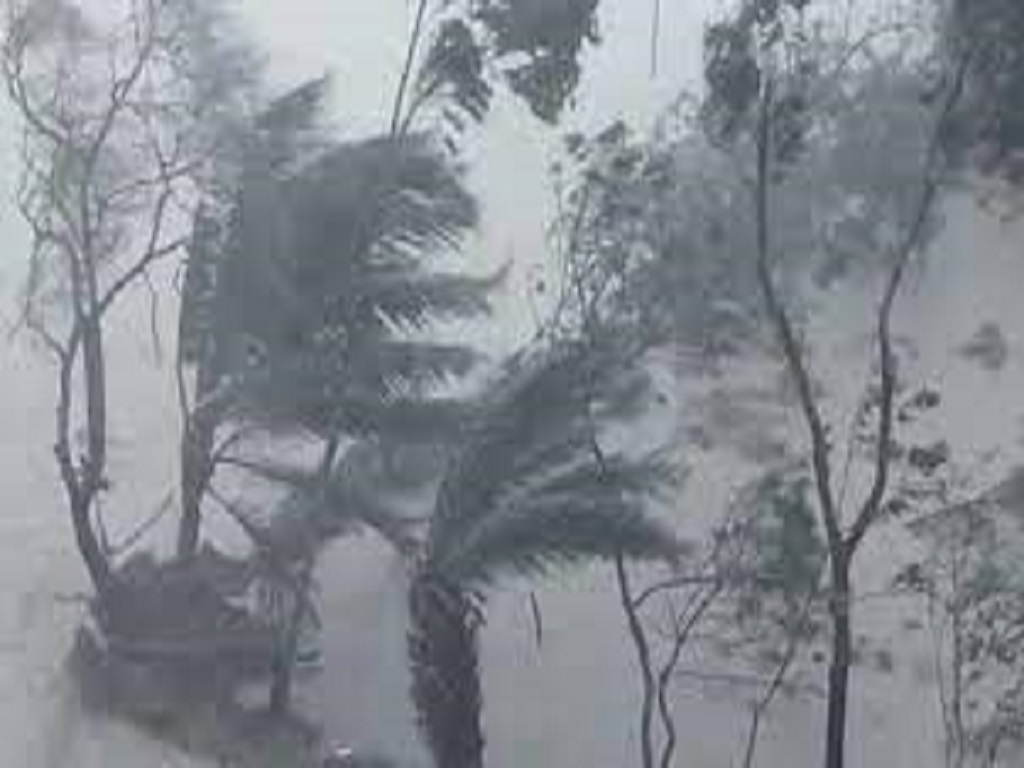 cyclone jawad