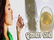 ଜୁଆଣୀର ପାଣି ସକାଳୁ ସକାଳୁ ପିଇବା ଦ୍ଵାରା ଯାହା ହେବ ଆପଣ ଜାଣି ବିଶ୍ଵାସ କରି ପାରିବେନି