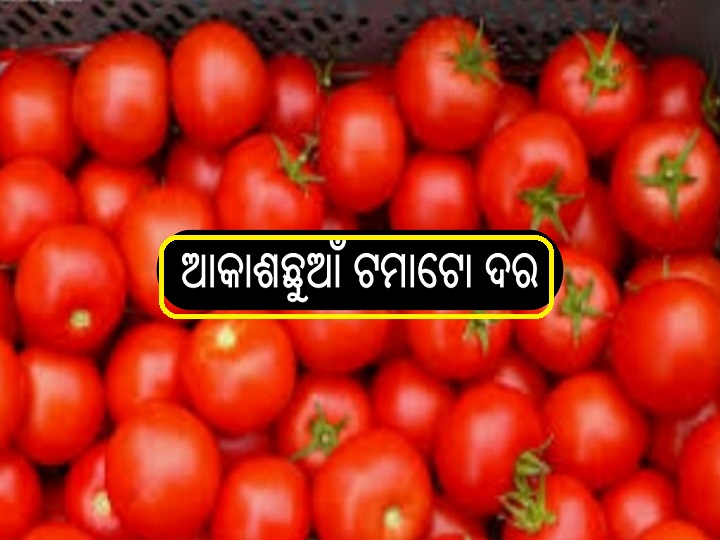 Tomato prices hike