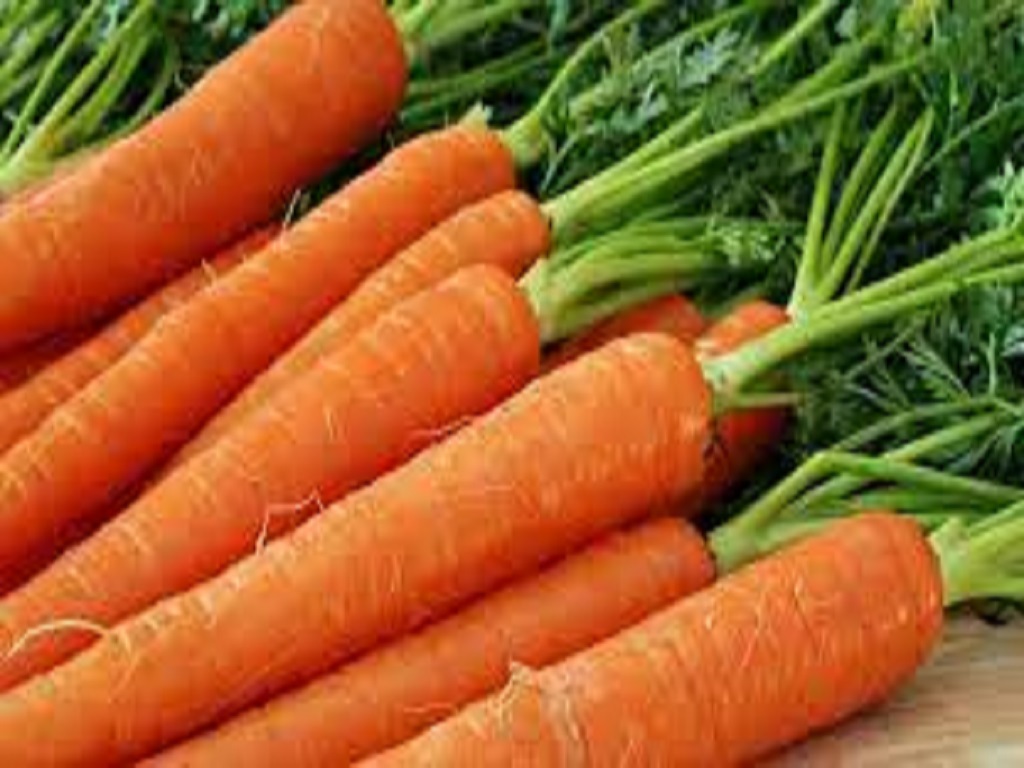eating carrots in the winter is very beneficial for the body