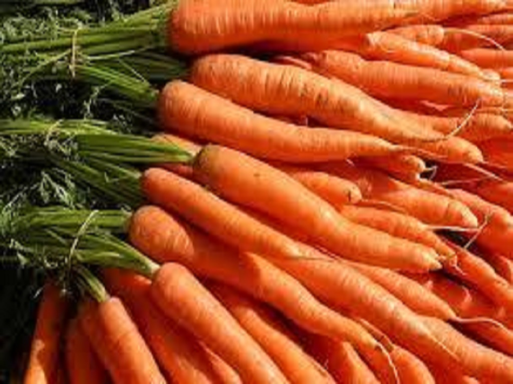 eating carrots in the winter