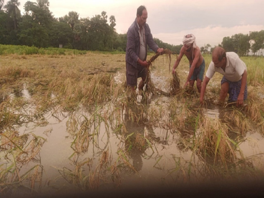 central team survey cyclone jawad damage in odisha