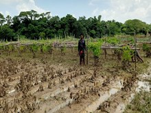 ଜୱାଦରେ ୧୩୧ ବ୍ଲକର ୫.୭୮ ଲକ୍ଷ ହେକ୍ଟର ଚାଷ ଜମି ପ୍ରଭାବିତ