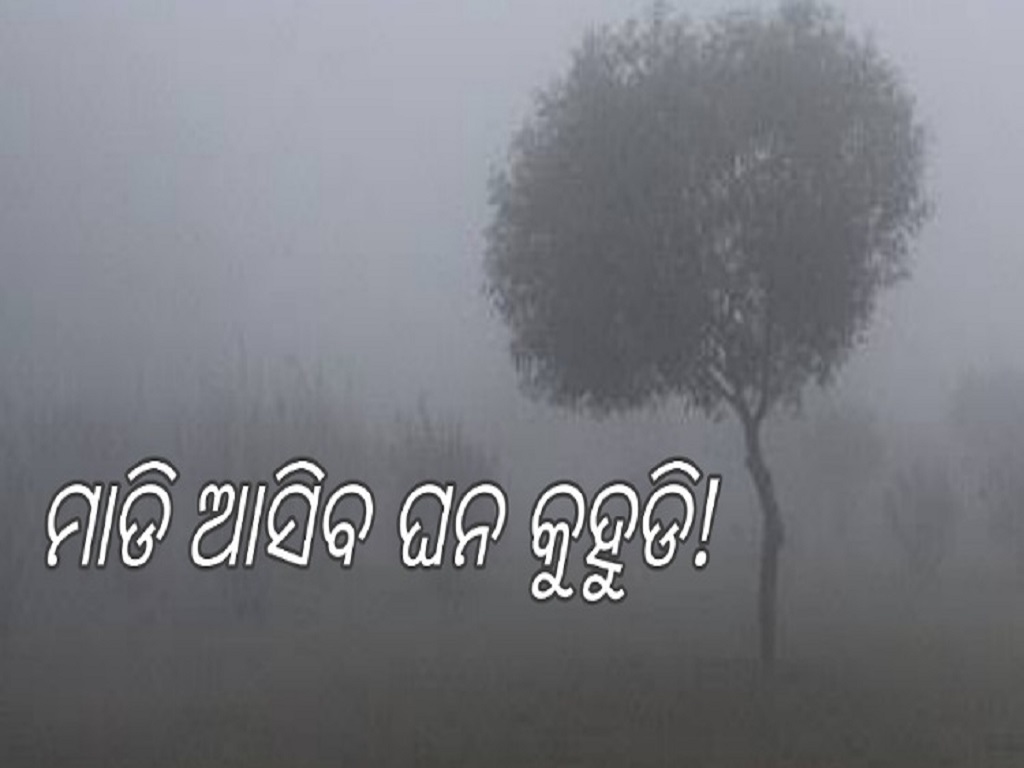 Odisha weather update imd predict fog and rain in 7 districts