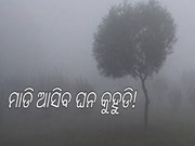 ବଦଳିଲା ପାଗ : ଚାରି ଦିନ ଘନ କୁହୁଡ଼ି ସହ ବର୍ଷା, ୭ ଜିଲ୍ଲାକୁ ୟେଲୋ ୱାର୍ଣ୍ଣିଂ