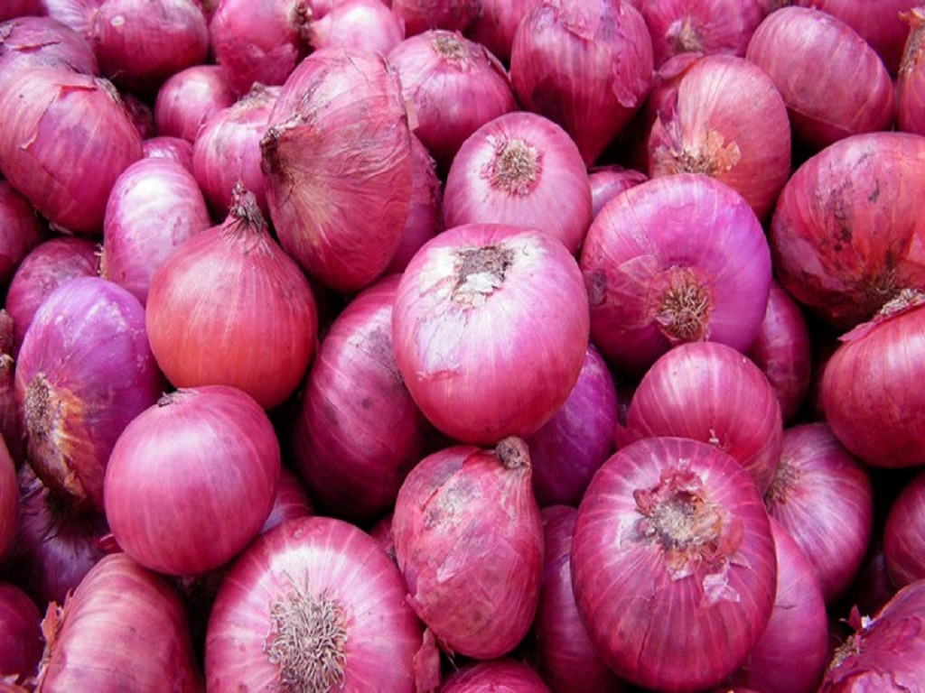 madhya pradesh onion price mandsaur kisan mandi video viral
