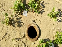 ମହିଳା ମାନଙ୍କର ଶ୍ରମ ଲାଘବ ପାଇଁ ମାଠିଆ ଜଳସେଚନର ବ୍ୟବହାର  ମହିଳା ମାନଙ୍କର ଶ୍ରମ ଲାଘବ ପାଇଁ ମାଠିଆ ଜଳସେଚନର ବ୍ୟବହାର