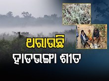 ରାଜ୍ୟରେ ୩ ଦିନ ଯାଏଁ ହାଡଭଙ୍ଗା ଶୀତ; ଏସବୁ ଜିଲ୍ଲାକୁ ୟେଲୋ ଆଲର୍ଟ ଜାରି