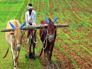 Budget 2022: ଜାନୁଆରୀ ୩୧ରୁ ଆରମ୍ଭ ହେବ ବଜେଟ୍ ଅଧିବେଶନ, କୃଷକଙ୍କୁ ମିଳିବ ବଡ ଉପହାର 