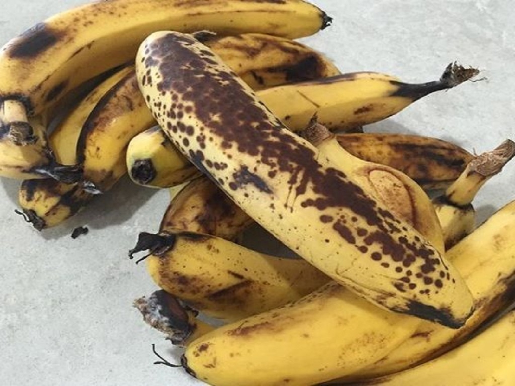 Roasted bananas are very good for your health