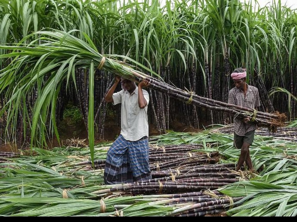 up election 2022 bjp makes big announcement for sugarcane farmers