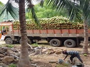 କମ୍ ବିନିଯୋଗ କରି ଆରମ୍ଭ କରନ୍ତୁ ଏବି ବ୍ୟବସାୟ, ମିଳିବ ଲାଭ 