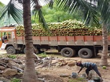 କମ୍ ବିନିଯୋଗ କରି ଆରମ୍ଭ କରନ୍ତୁ ଏବି ବ୍ୟବସାୟ, ମିଳିବ ଲାଭ  କମ୍ ବିନିଯୋଗ କରି ଆରମ୍ଭ କରନ୍ତୁ ଏବି ବ୍ୟବସାୟ, ମିଳିବ ଲାଭ