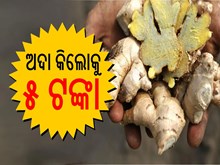 ଅଦା କିଲୋ ୫ ଟଙ୍କା ଅଦା କିଲୋ ୫ ଟଙ୍କା