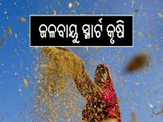 ଜଳବାୟୁ ସ୍ମାର୍ଟ କୃଷି: ଓଡିଶାରେ ଏହାର ଭୂମିକା