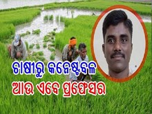 ଚାଷ ଜମିରୁ ପ୍ରଫେସର ; କାହାଣୀ ଜାଣିଲେ ହୋଇଯିବେ ଆଶ୍ଚର୍ଯ୍ୟ,ପଢନ୍ତୁ...