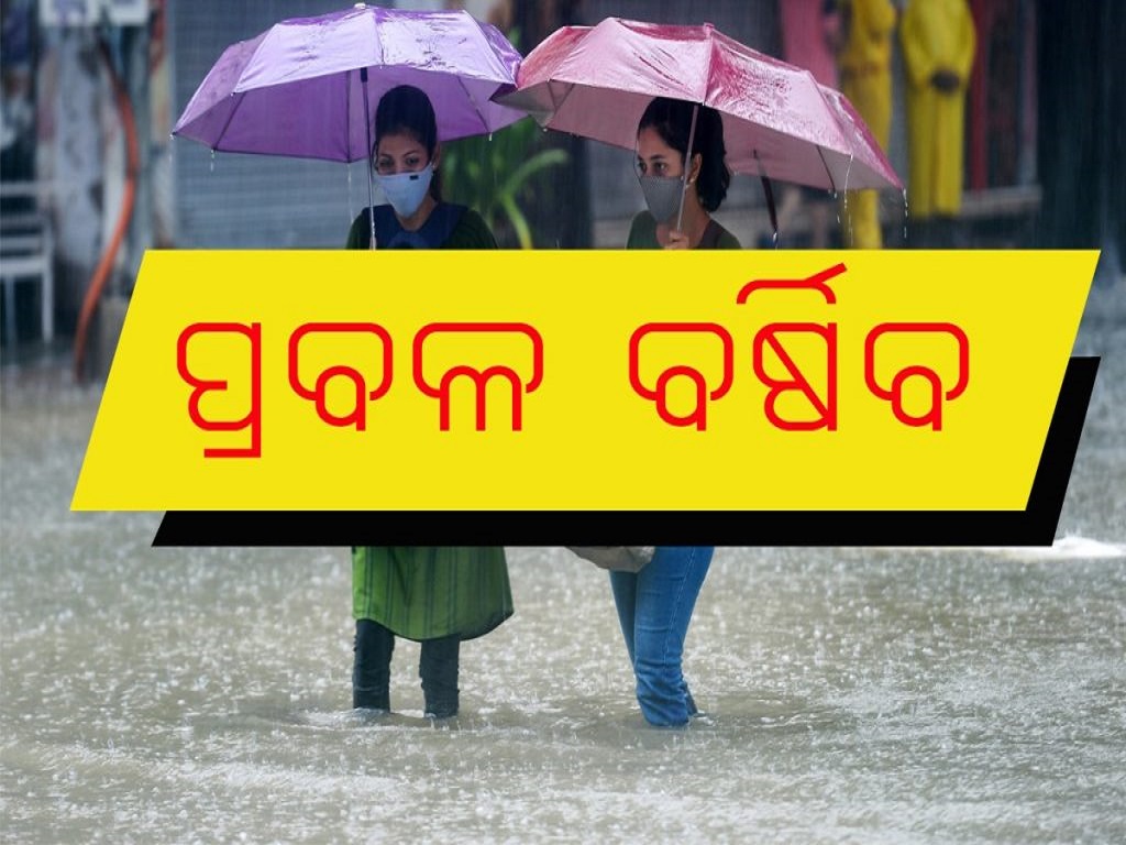 rain alert for odisha from 16th february on these districts