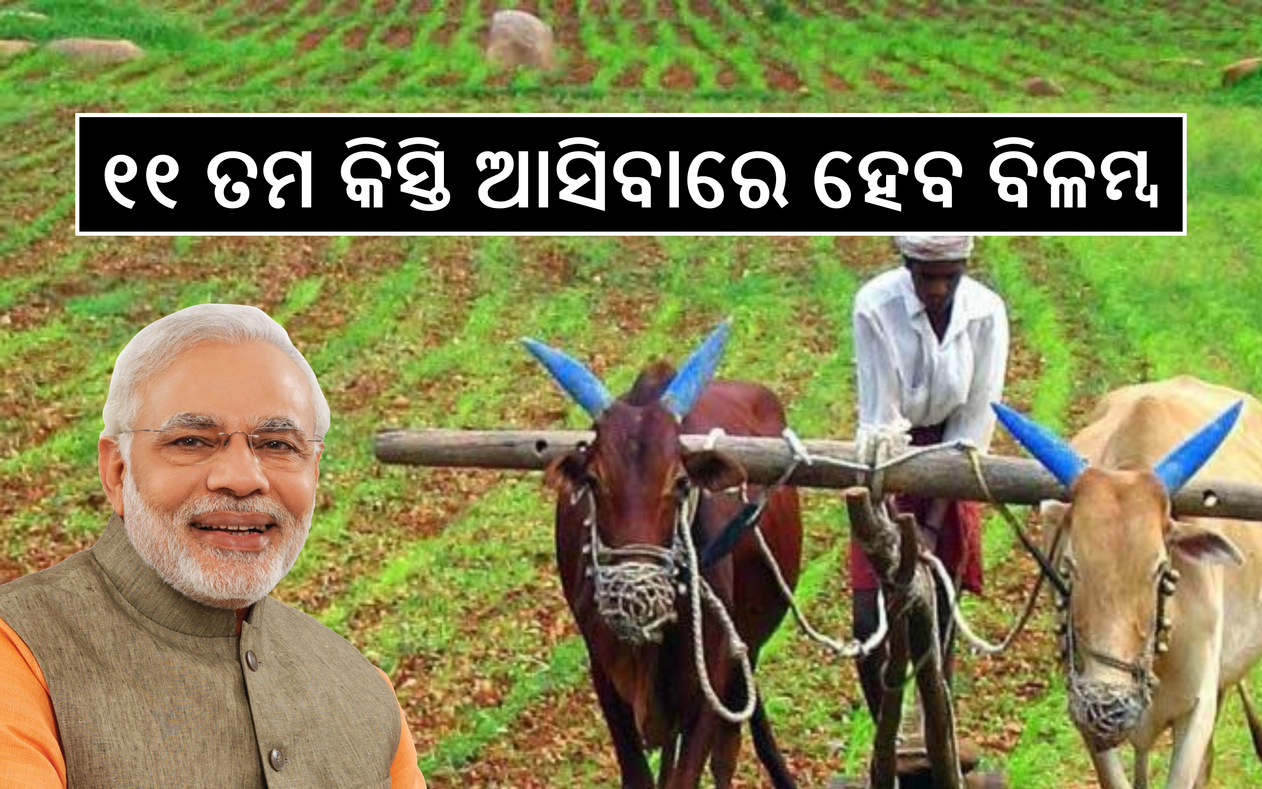 PM Kisan yojana 11th installment credited farmers account before 31 march