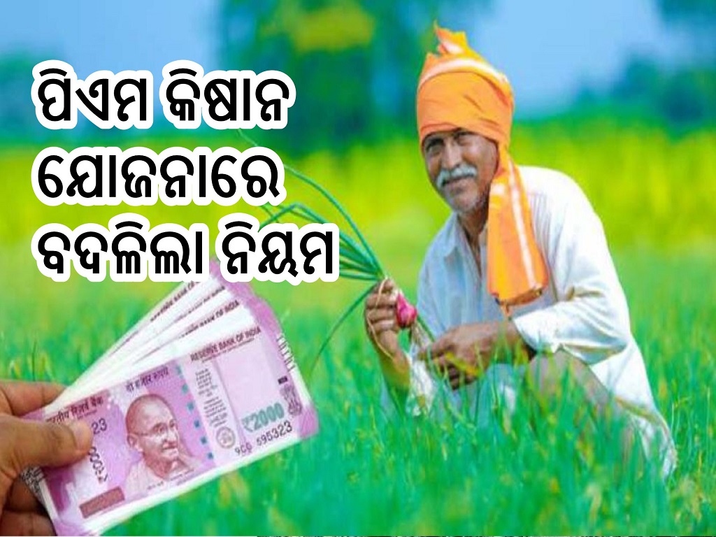 PM Kisan yojana rules change do this work before march 31 otherwise you will not get money