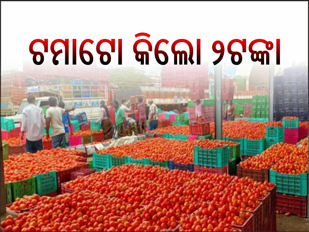 Tomatoes cost rs 2 per kg