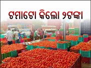 ଟମାଟୋ କିଲୋ ୨ ଟଙ୍କା