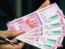 ଏହି ବିଜନେସରେ ଦିନକୁ ରୋଜଗାର କରନ୍ତୁ ୪ ହଜାର ଟଙ୍କା; ସରକାର ବି କରିବେ ସାହାଯ୍ୟ ଏହି ବିଜନେସରେ ଦିନକୁ ରୋଜଗାର କରନ୍ତୁ ୪ ହଜାର ଟଙ୍କା; ସରକାର ବି କରିବେ ସାହାଯ୍ୟ