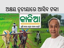 ଆଉ ୩ ବର୍ଷ ବଢ଼ିଲା କାଳିଆ ଅବଧି; ଦୁଇଟି ପର୍ଯ୍ୟାୟରେ ମିଳିବ ୨ ହଜାର ଲେଖାଏଁ ଟଙ୍କା ଆଉ ୩ ବର୍ଷ ବଢ଼ିଲା କାଳିଆ ଅବଧି; ଦୁଇଟି ପର୍ଯ୍ୟାୟରେ ମିଳିବ ୨ ହଜାର ଲେଖାଏଁ ଟଙ୍କା