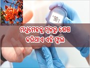 ଡାଇବେଟିସ ରୋଗକୁ ମୂଳରୁ ଶେଷ କରିଥାଏ ଏହି ଚମତ୍କାରୀ ଫୁଲ, ଜାଣିଲେ ହୋଇଯିବେ ଆଶ୍ଟର୍ଯ୍ୟ...