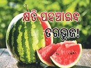 ଆପଣ ବି ତରଭୁଜକୁ ଫ୍ରିଜ୍‌ରେ ରଖୁଛନ୍ତି କି? ହୋଇଯାଆନ୍ତୁ ସାବଧାନ...