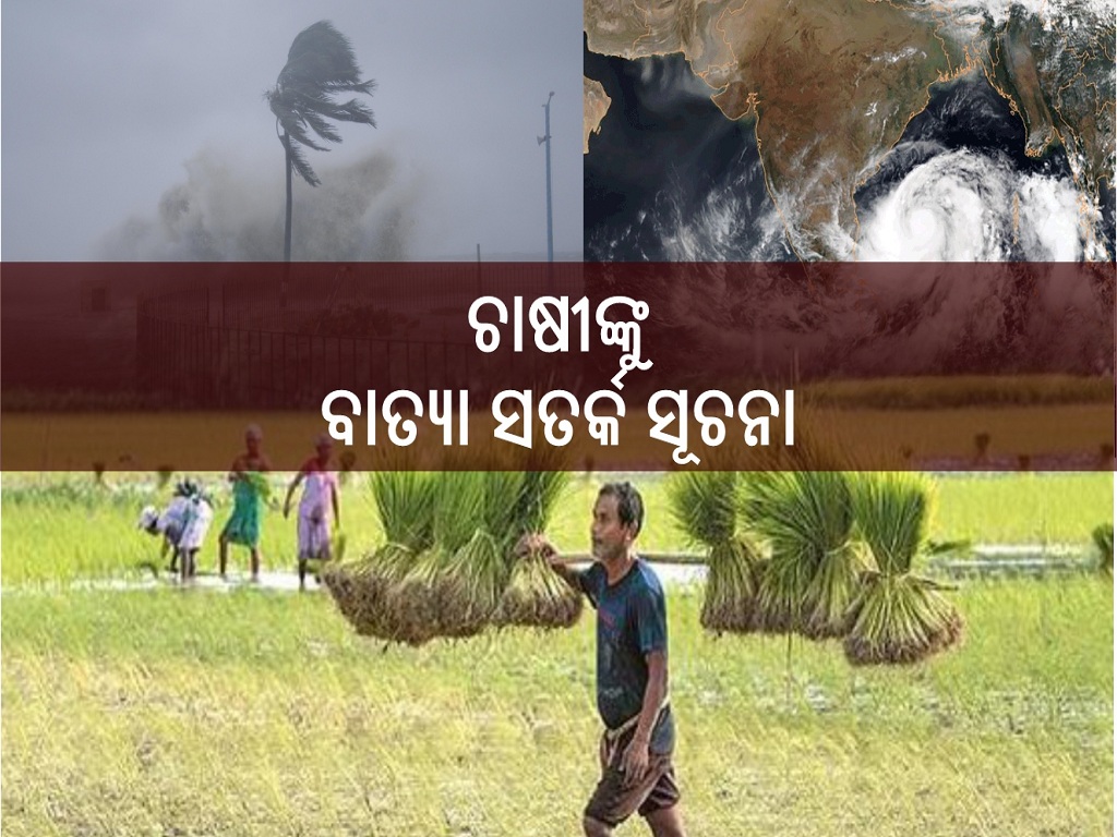 Know how to protect crops during Cyclone