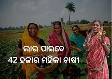 କୃଷି ଉତ୍ପାଦନ କ୍ଲଷ୍ଟର ଅଧିନରେ ଆଉ 14 ବ୍ଲକ, ମହିଳା ଚାଷୀଙ୍କୁ ମିଳିବ ବଡ ସୁଯୋଗ କୃଷି ଉତ୍ପାଦନ କ୍ଲଷ୍ଟର ଅଧିନରେ ଆଉ 14 ବ୍ଲକ, ମହିଳା ଚାଷୀଙ୍କୁ ମିଳିବ ବଡ ସୁଯୋଗ