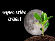 ଚନ୍ଦ୍ର ମାଟିରେ ହେଲା ଚାଷ ଚନ୍ଦ୍ର ମାଟିରେ ହେଲା ଚାଷ