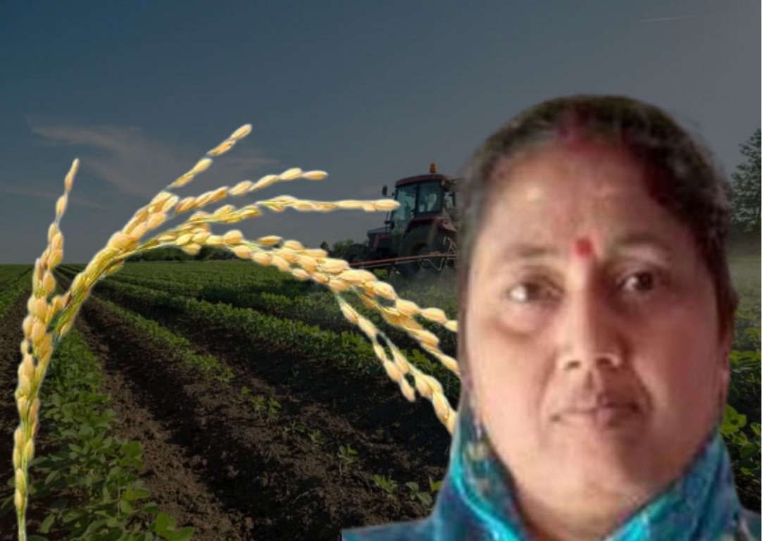 Woman farmer from Odisha's Jagatsinghpur secures rights over fragrant paddy variety