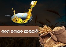 ଭାରତରେ ତେଲ ତାତି କମାଇବ ଗହମ ରପ୍ତାନି କଟକଣା, ଏହି ଦେଶ ଉପରେ ବଢିବ ଚାପ...