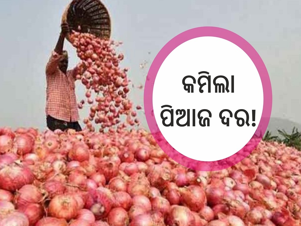onion price wholesale mandi rate for pyaz in gujarat price is only 1 to 4 rupees per kg how will farmers income double